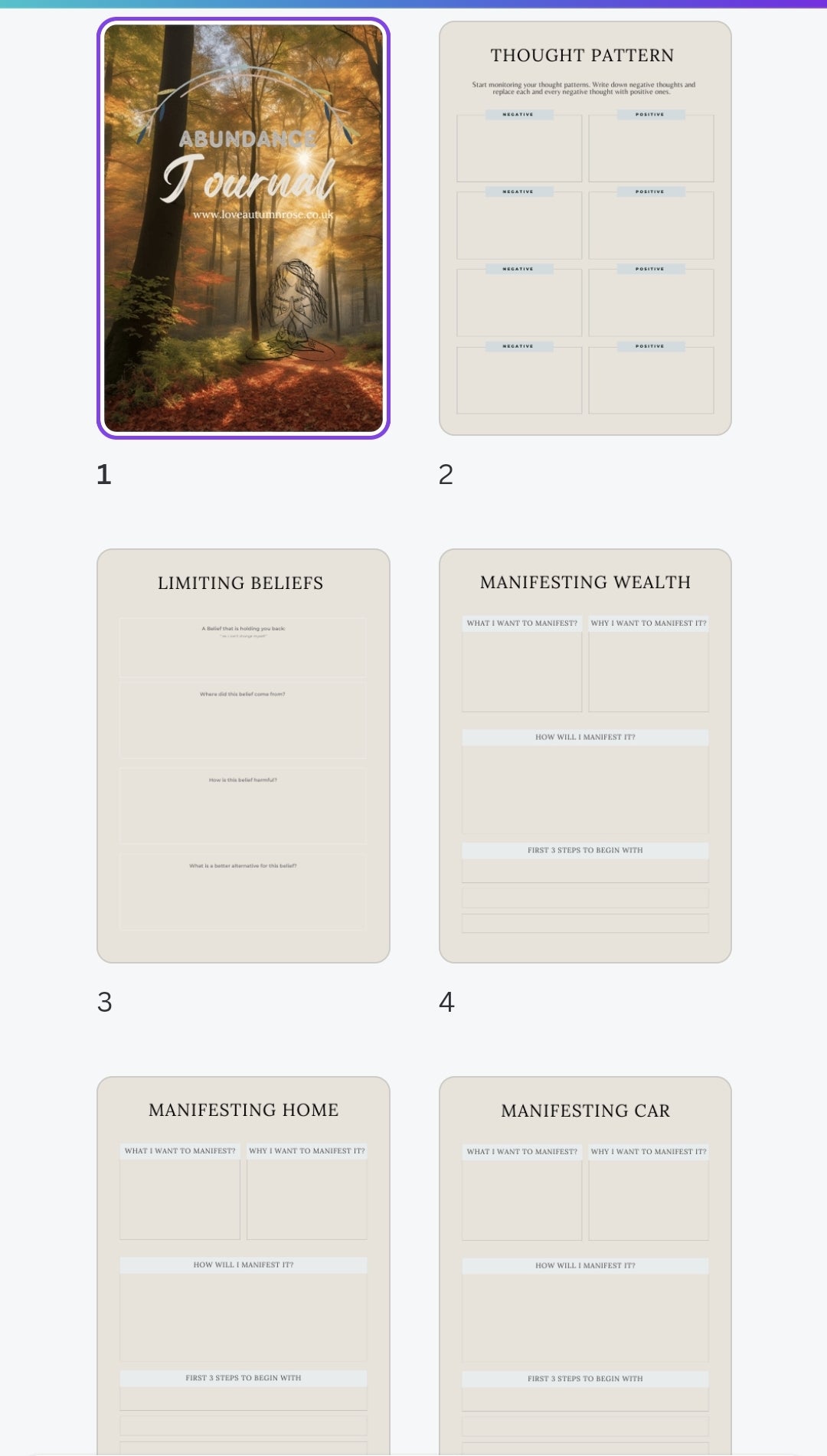 Abundance Journal - Digital Copy