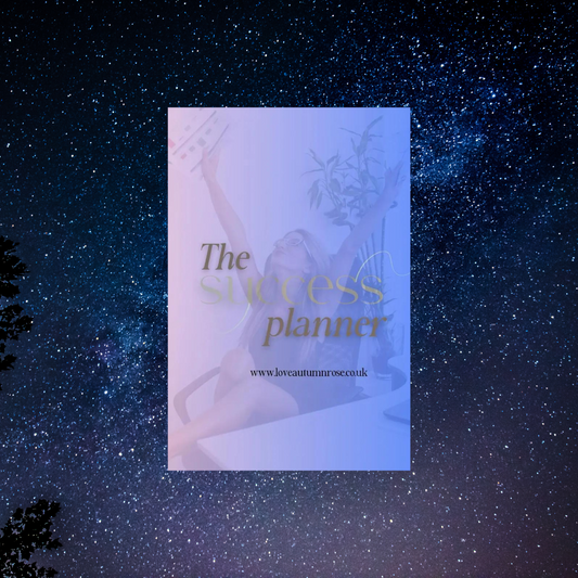 The Success Planner